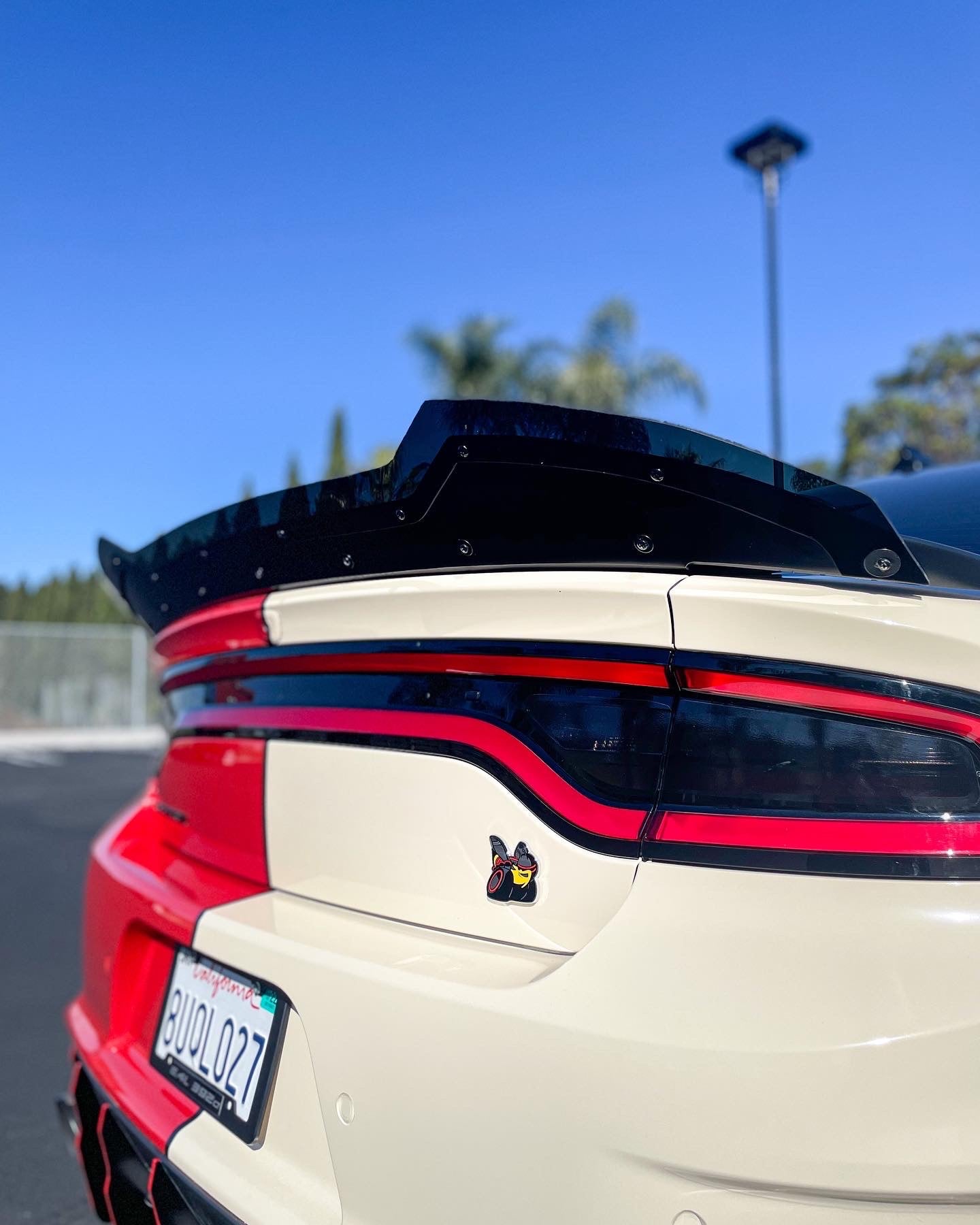 Dodge Charger X2 Design Wickerbill