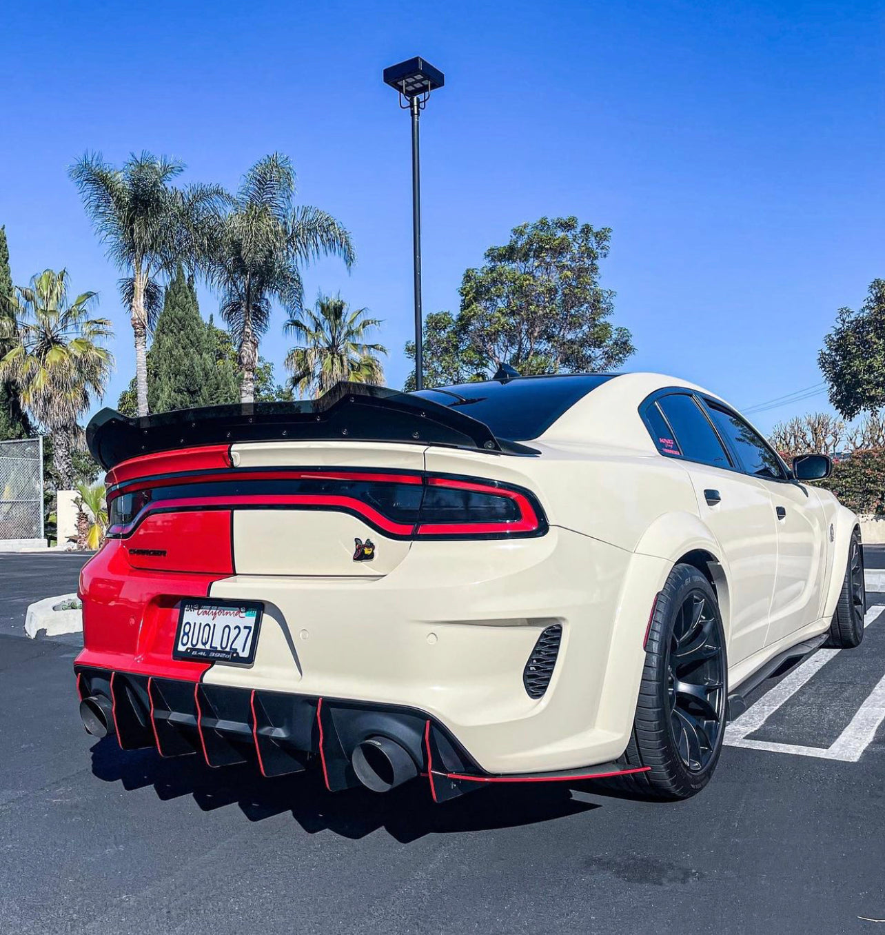 Dodge Charger X2 Design Wickerbill