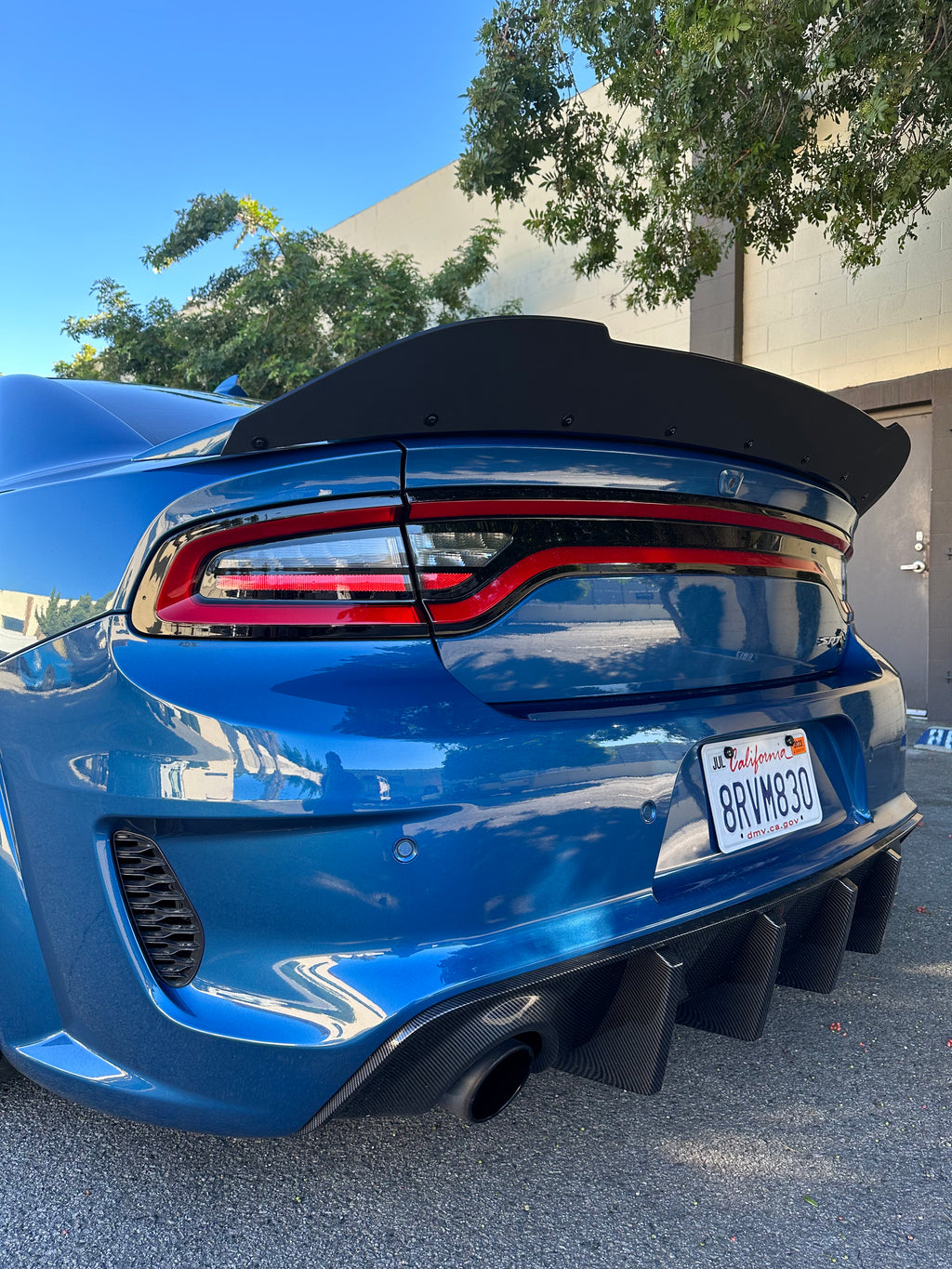 2015 - 2023 Dodge Charger SRT Round Design Wickerbill Full Tint