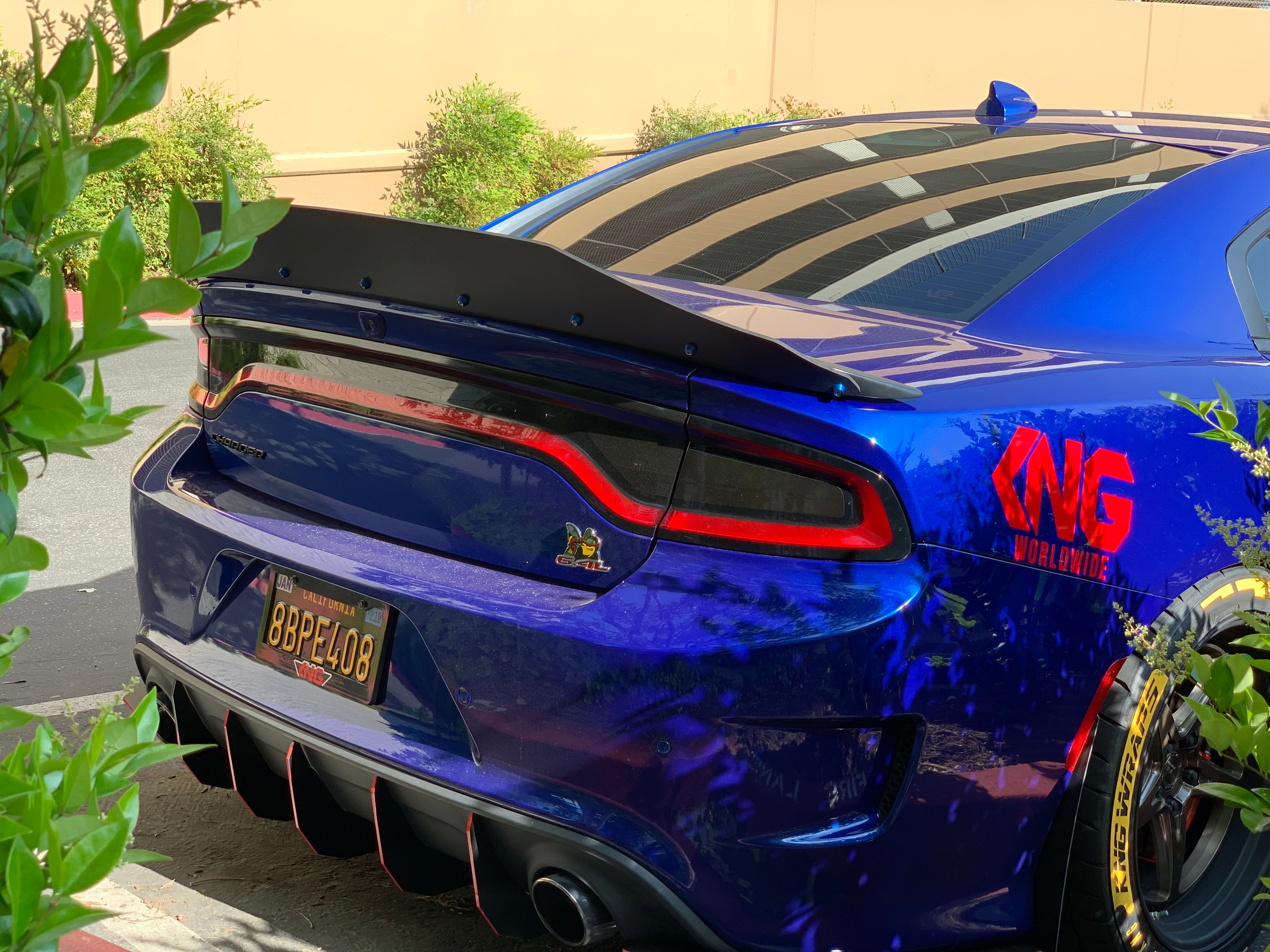 Dodge Charger Duckbill Design Wickerbill