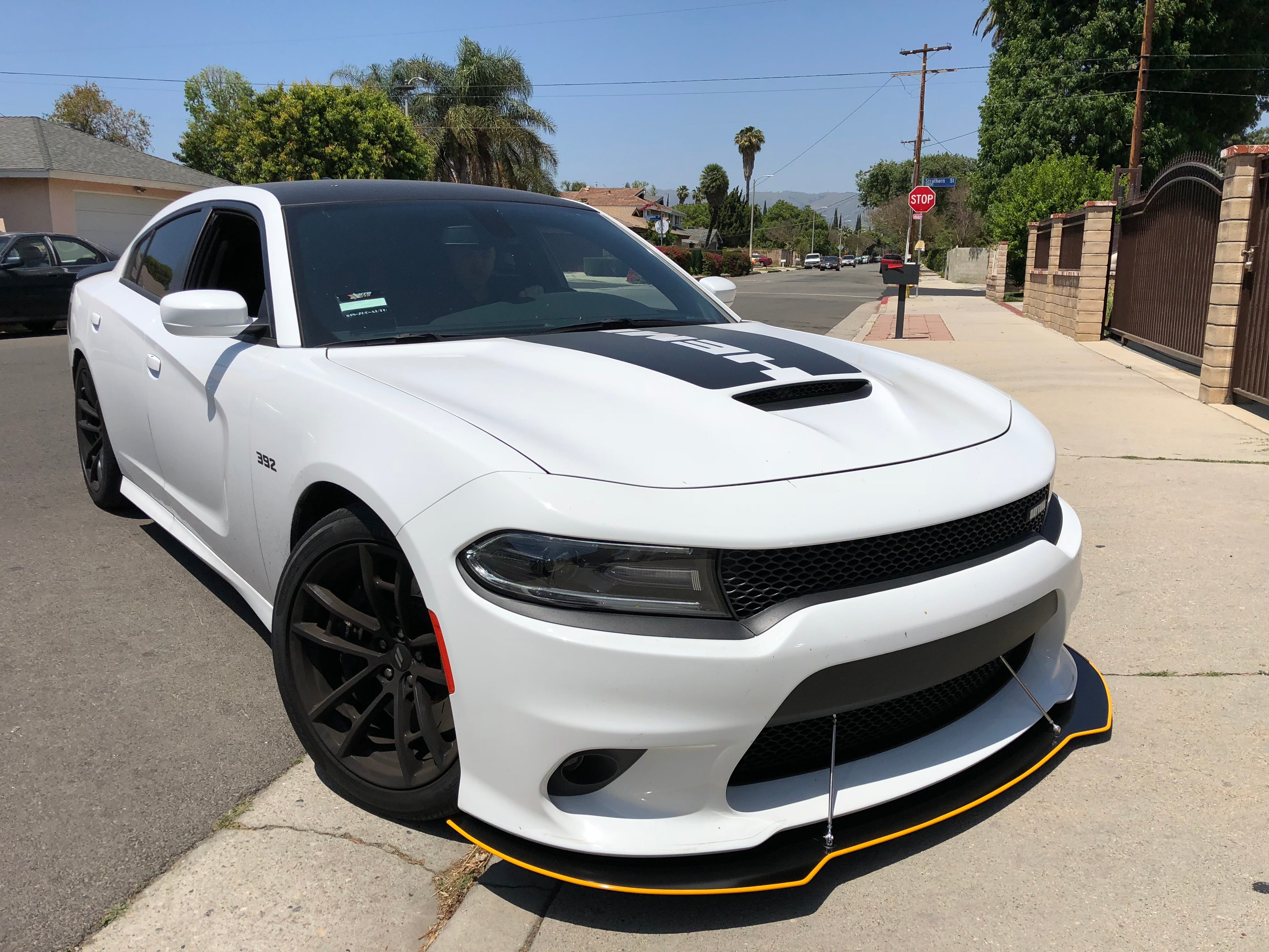2015 - 2023 Dodge Charger GT, Scatpack, Hellcat: Sharp Design Splitter
